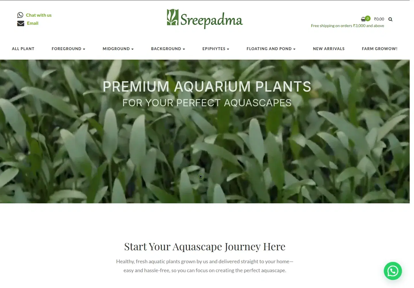 Sree Padma — Quinoid Case Study